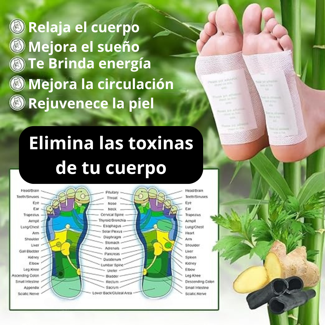 Pack x10 Parches Desintoxicantes de formula natural- CONFORTAID DETOX