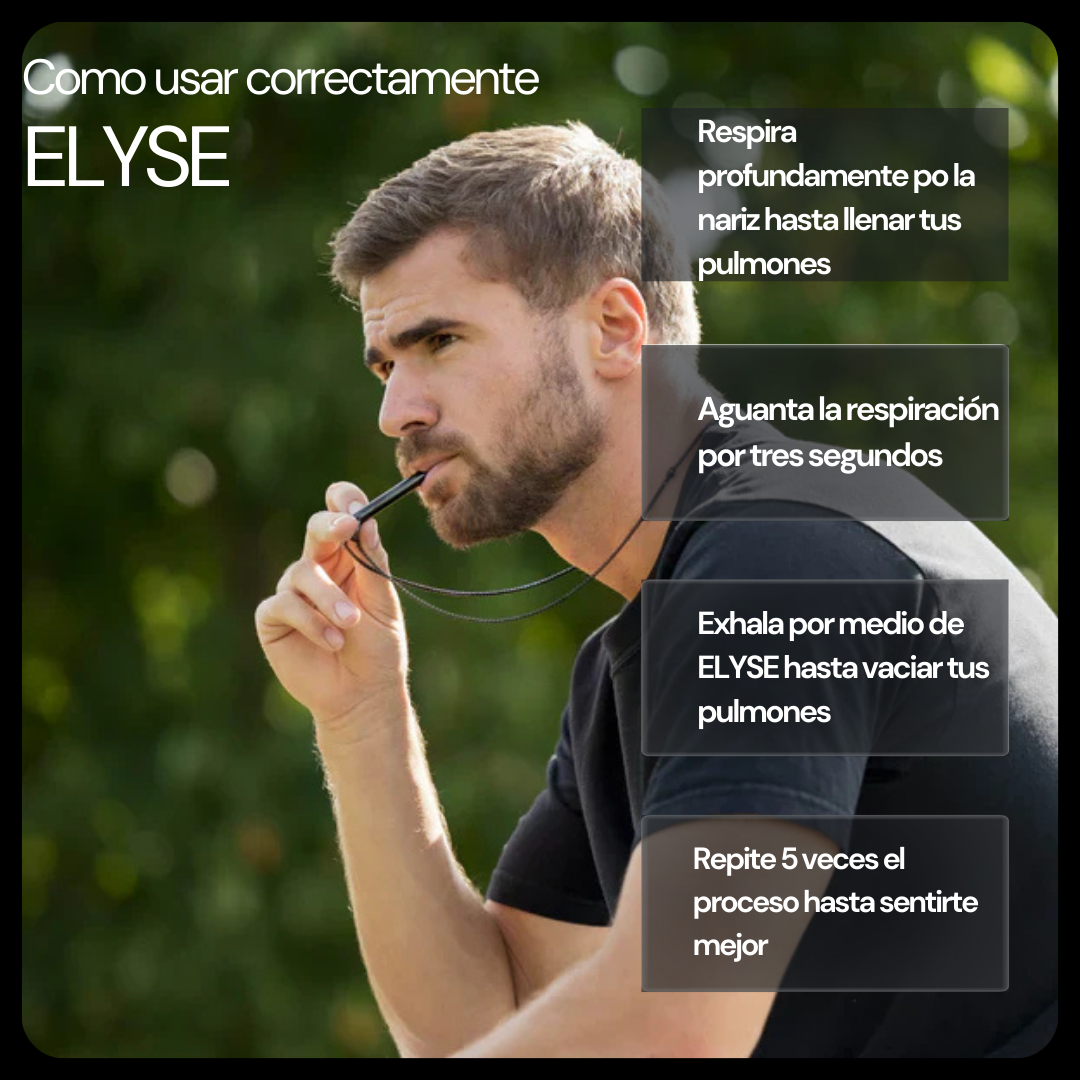 ELYSE PLUS.